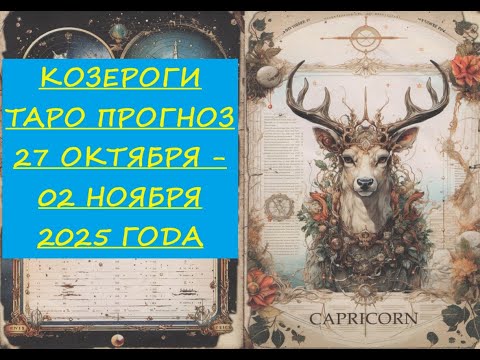 Видео: 26 октября 2025 г.