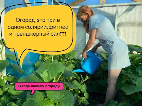 Видео: Обзор нашего огорода и сада после 3 лет....