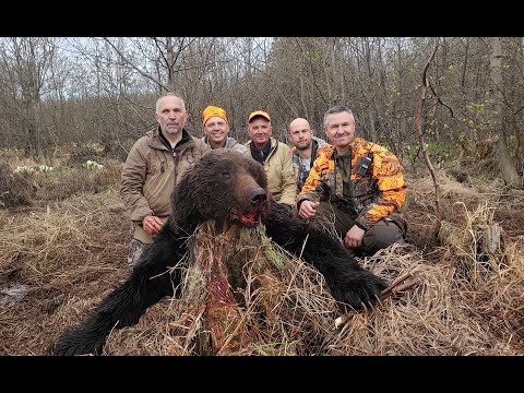 Видео: Сахалин 1 серия. Охота на медведя.