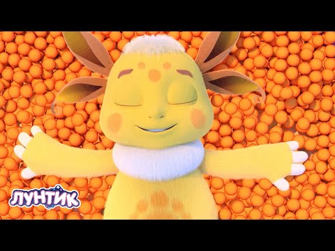 Видео: Лунтик | В поисках имени | 510 серия | Мультики для детей