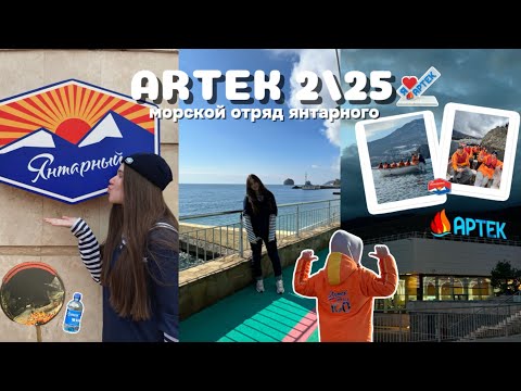Видео: АРТЕК 2/25 | мор отряд, первые дни в янтарном