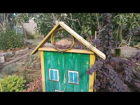 Видео: Нілині мандри.🚙Сад, що манить і куди хочеться повернутись.🍁🍂