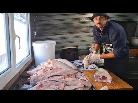 Видео: Розбираю 100кг товстолоба на консерву та оселелця‼️Легкі🐟🐟заробітки‼️Сезон оселедця відкрито‼️