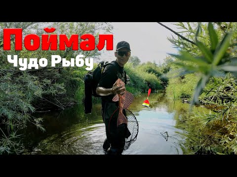 Видео: Мормышинг ? Поймал Чудо Рыбу !!!