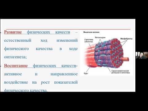 Видео: Физиология физических качеств и двигательных навыков.