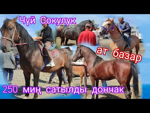 Видео: 15.СЕНТЯБЯ баары сатылды чекеден😱 Чүй Сокулук жылкы базары