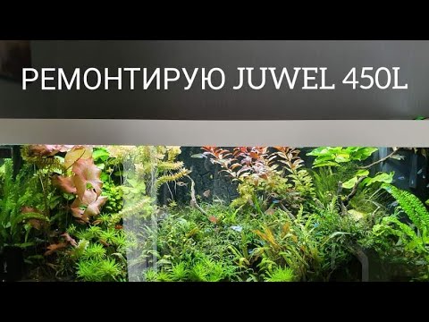 Видео: Ремонтирую аквариум JUWEL RIO 450 L. Часть 50.