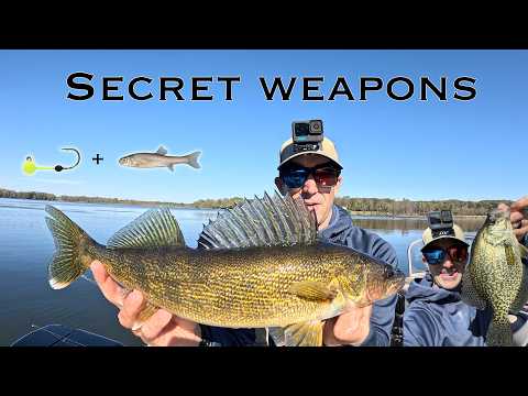 Видео: Лучший метод ловли большого количества осенних судаков и краппи