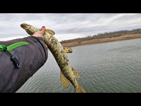 Видео: Открытие спиннингового 2025 сезона. Бердянское водохранилище 08 01 2025