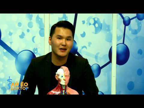 Видео: "Ай ёо доктор" эрүүл мэндийн нэвтрүүлэг - 10. Цээж хорсолт