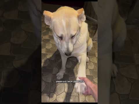 Видео: Наш большой ребенок ❤️