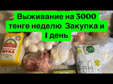 Видео: Выживание 3000 т на неделю эксперимент в Казахстане. Закупка и 1 день.