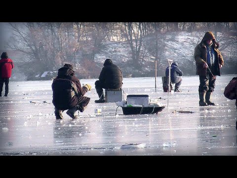 Видео: Рибалка на Карася по першій кризі !!!