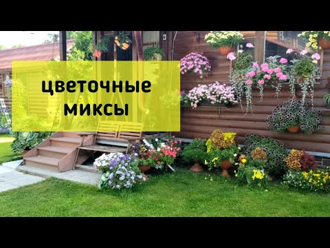 Видео: Цветы и цветочные миксы в августе/ Какие композиции самые стойкие [ Цветочные композиции в саду]