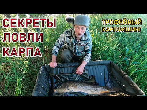 Видео: Как ловить карпа на БОЙЛЫ