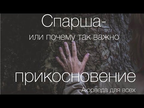 Видео: Спарша- или почему так вожно прикосновение. Аюрведа для всех.