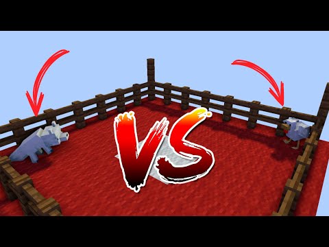 Видео: курицы vs лиса minecraft один блок часть 4