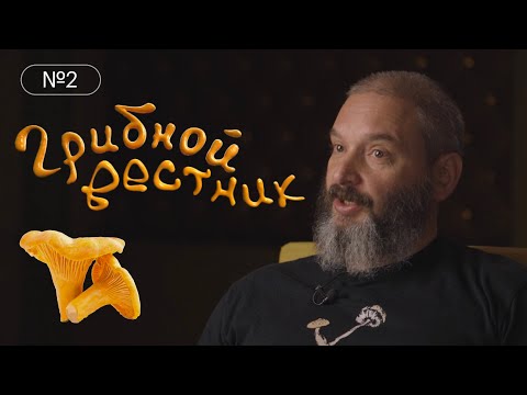 Видео: Грибной вестник №2. Мухоморные улитки. Легенды о фаллосах. Лисичка желтая. Михаил Вишневский