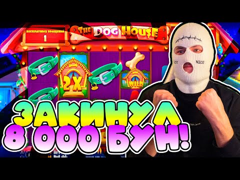 Видео: ЖАРКАЯ СЕССИЯ В THE DOG HOUSE MEGAWAYS!