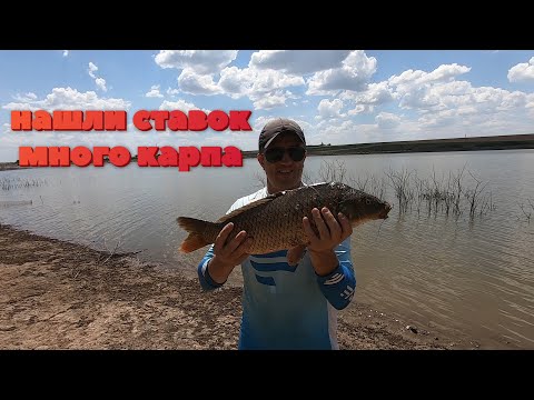 Видео: тут карпа немерено тел хозяина 0675140494