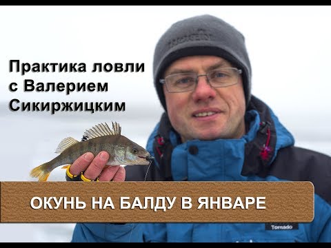 Видео: Окунь на балду в январе. Практика ловли с Валерием Сикиржицким.