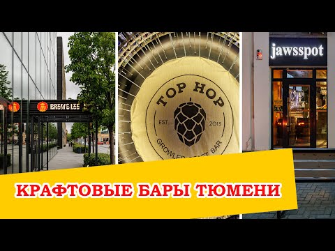 Видео: Прошлись по 5 ЛУЧШИМ пивным барам Тюмени и вот, что из этого вышло