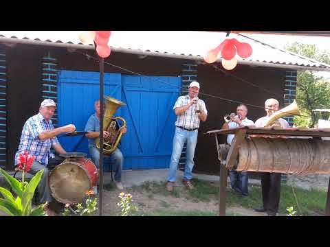 Видео: Хрустовая -Духовой