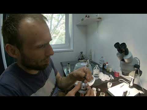 Видео: Рабочий день в лаборатории для искусственного осеменения маток (ИОМ) с Липатовым