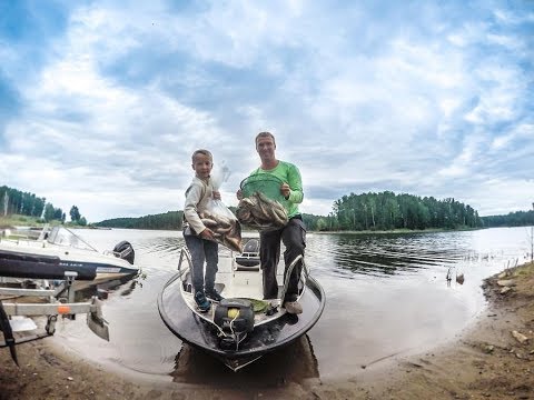 Видео: Рыбалка. ГОРЫ ОКУНЯ!  Кулинарная 5-тиминутка: КОПТИМ за 12 минут.