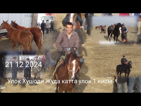 Видео: Шахритус Хушодида жуда катта улок булиб утди 21 12 2024   1 кисм тез курамиз
