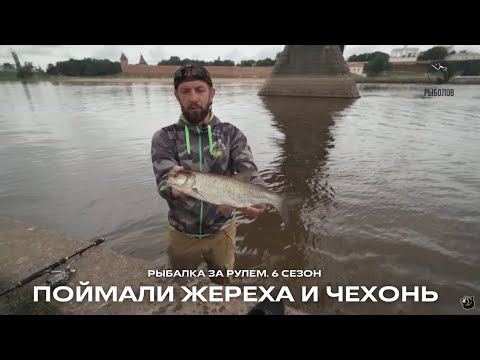 Видео: Поймали трофейного жереха и чехонь , Рыбалка за рулем / 6 сезон. 19 серия
