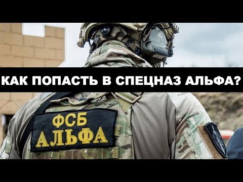 Видео: Как попасть в спецназ «Альфа» и «Вымпел»? /  Блог Алексея Филатова. Выпуск 10