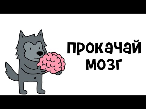 Видео: Как стать умнее в 10 раз - ЛЕГКО и ПРОСТО