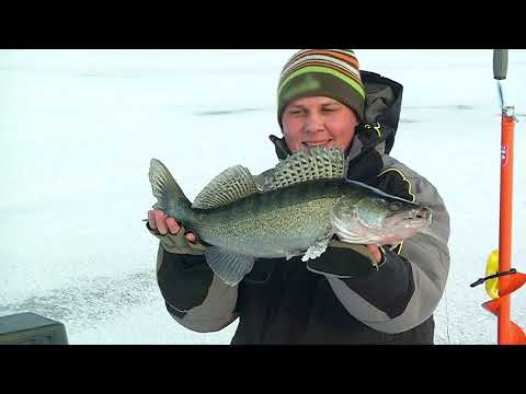 Видео: Блесна \ Азбука подледной ловли. Часть 2