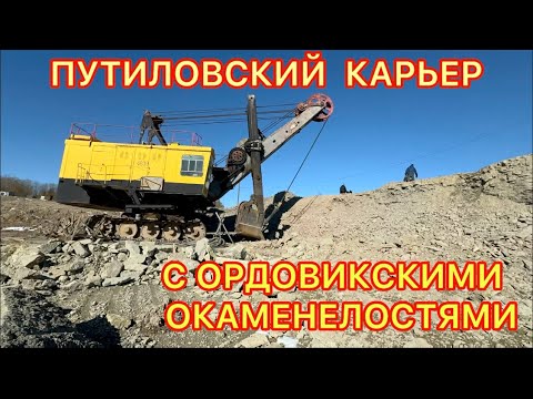 Видео: Путиловский карьер с ордовикскими окаменелостями