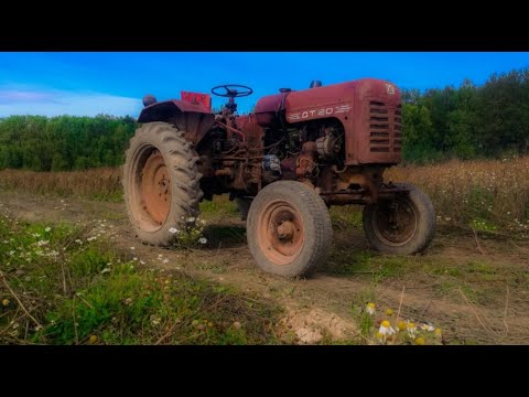 Видео: Легендарный Советский трактор ДТ-20 обзор.