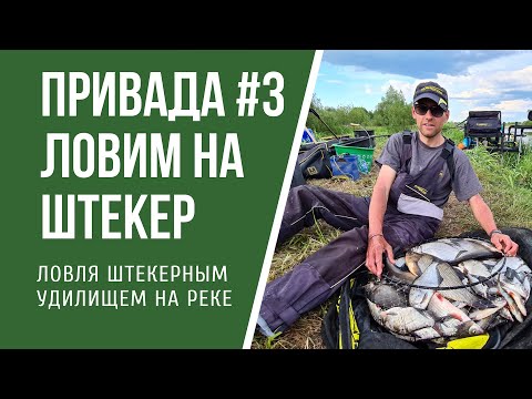 Видео: Привада #3 Ловля штекером на реке