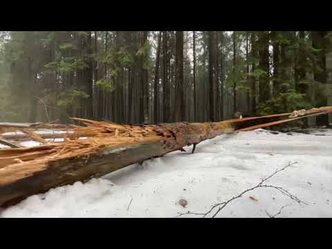 Видео: Хаммер н3 - такие машины больше не делают #hummer #hummerh3 #оффроад #оффроуд #offroad