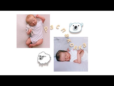 Видео: Распаковка молдов Чейз и Твин Б 🥳