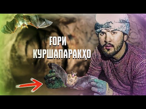 Видео: FOРИ ДАХШАТНОК / САХТТАРИН ДАХШАТ! (Ajam STAN)