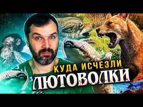 Видео: Лютоволки - чья родня? | Живое переходное звено | Опасная хворь шимпанзе - Новости АНТРОПОГЕНЕЗ.РУ