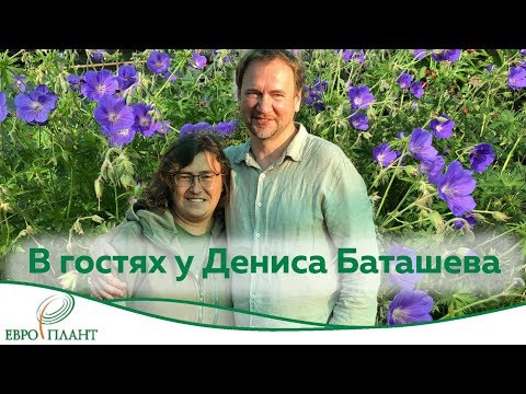 Видео: Садовые герои. В гостях у Дениса Баташева.
