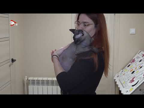 Видео: Водитель мусоровоза спас выброшенного на мусорку кота в Раменском