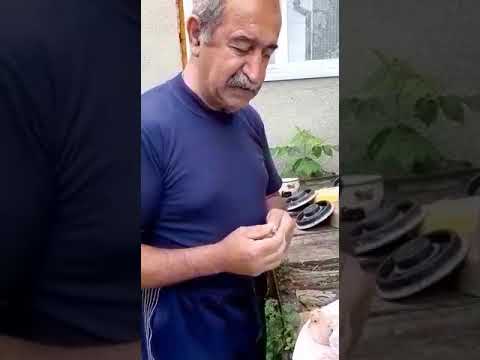 Видео: // ВАКЦИНАЦИЯ ГОЛУБЕЙ // АВИВАК. 3 - 4 Х. ВАЛЕНТНЫЙ // 25.11.19.