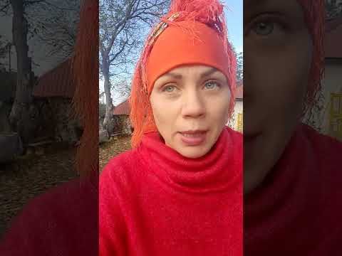 Видео: 24 жовтня 2025 р.