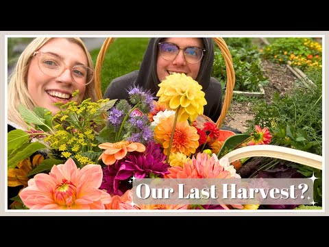 Видео: Выход на новый уровень! Сбор урожая в конце сезона 🎃 | Видеоблог о садоводстве №101