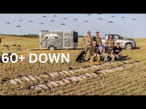 Видео: Ранний гусь Северной Дакоты 2025