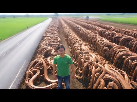 Видео: Куда Исчезают Миллионы Змей?