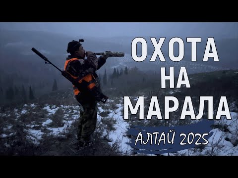 Видео: Охота на марала / Алтай 2025 / Patrol снова пострадал