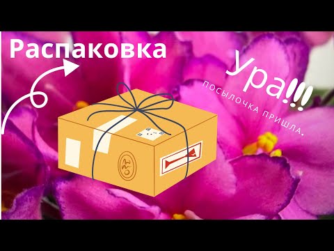 Видео: Распаковка посылки с детками фиалок часть 1//Unpacking the parcel with violets part 1.